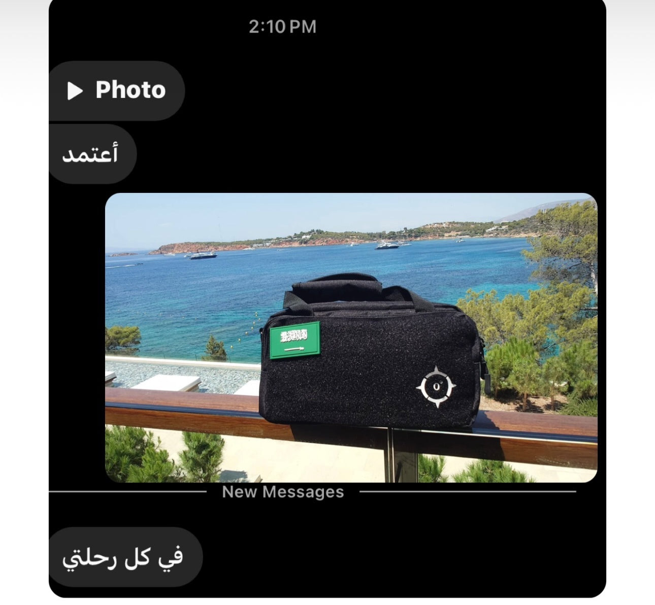 ZN Shoulder/Hand Bag