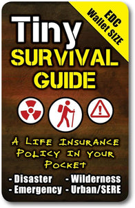 Survival Guide Edc Wallet Size